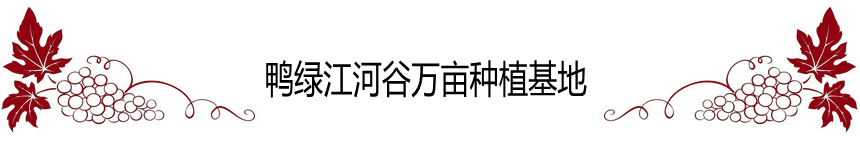 202EXEtV.png