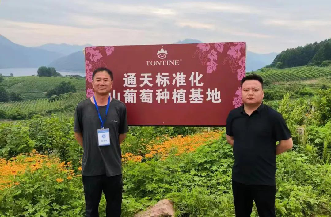 8匯1跨省考察交流 共謀合作雙贏——寬甸鴨綠江商會到通天酒業參觀考察 2-2368.png